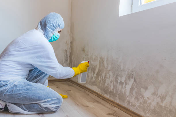Mold inspector in Georgetown performing thermal imaging