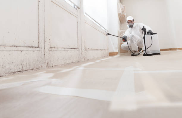 Black mold remediation team in Georgetown